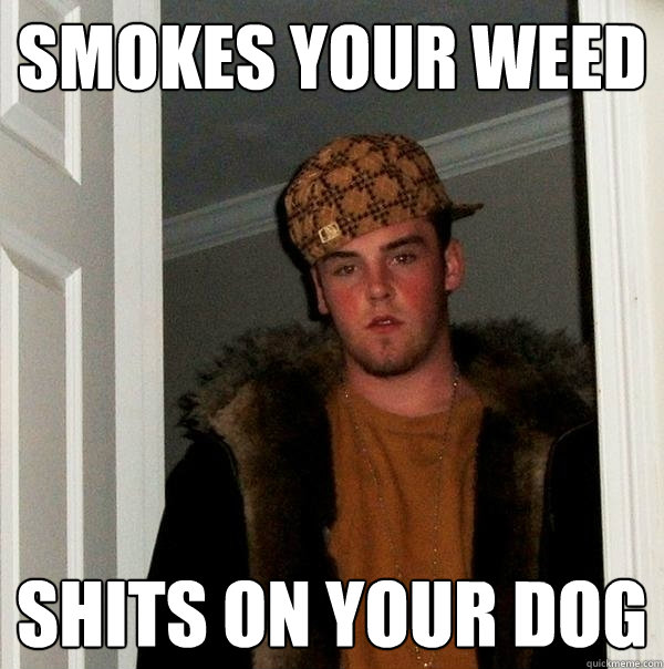 smokes your weed shits on your dog  Scumbag Steve