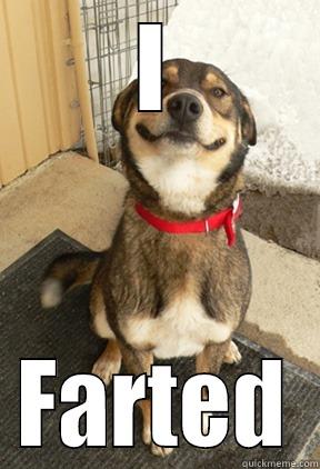 I FARTED Good Dog Greg