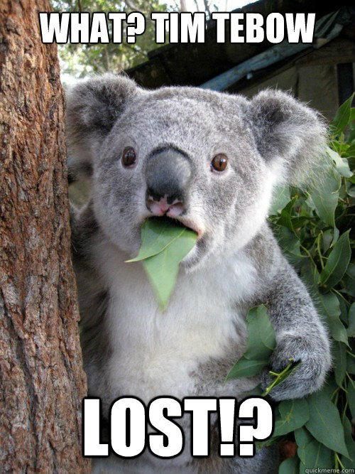 What? Tim Tebow Lost!? - What? Tim Tebow Lost!?  Surprised Koala