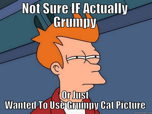 NOT SURE IF ACTUALLY GRUMPY OR JUST WANTED TO USE GRUMPY CAT PICTURE Futurama Fry