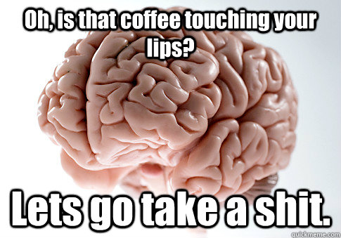 Oh, is that coffee touching your lips? Lets go take a shit.   - Oh, is that coffee touching your lips? Lets go take a shit.    Scumbag Brain
