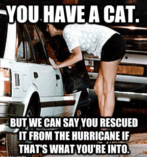 You have a cat.  But we can say you rescued it from the hurricane if that's what you're into.  Karma Whore