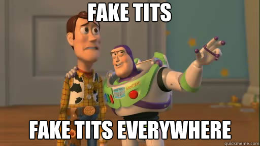 Fake Tits fake tits everywhere  Everywhere