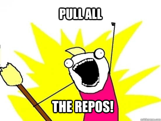 Pull ALL The REPOS!  