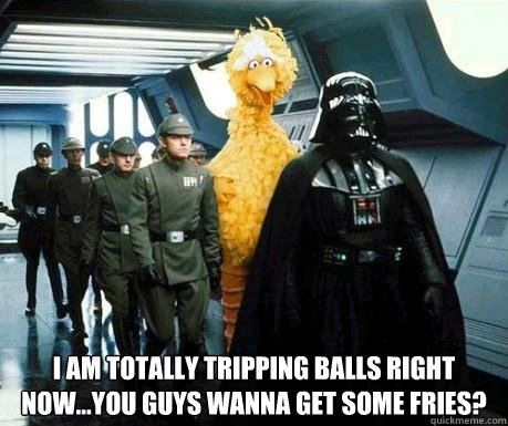  I am totally tripping balls right now...you guys wanna get some fries?  Big Bird