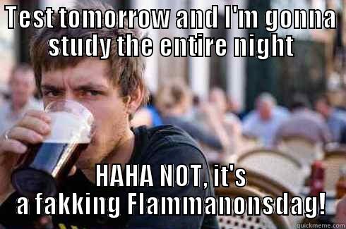 TEST TOMORROW AND I'M GONNA STUDY THE ENTIRE NIGHT HAHA NOT, IT'S A FAKKING FLAMMANONSDAG! Lazy College Senior