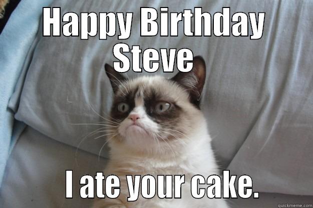 HAPPY BIRTHDAY STEVE          I ATE YOUR CAKE.       Grumpy Cat