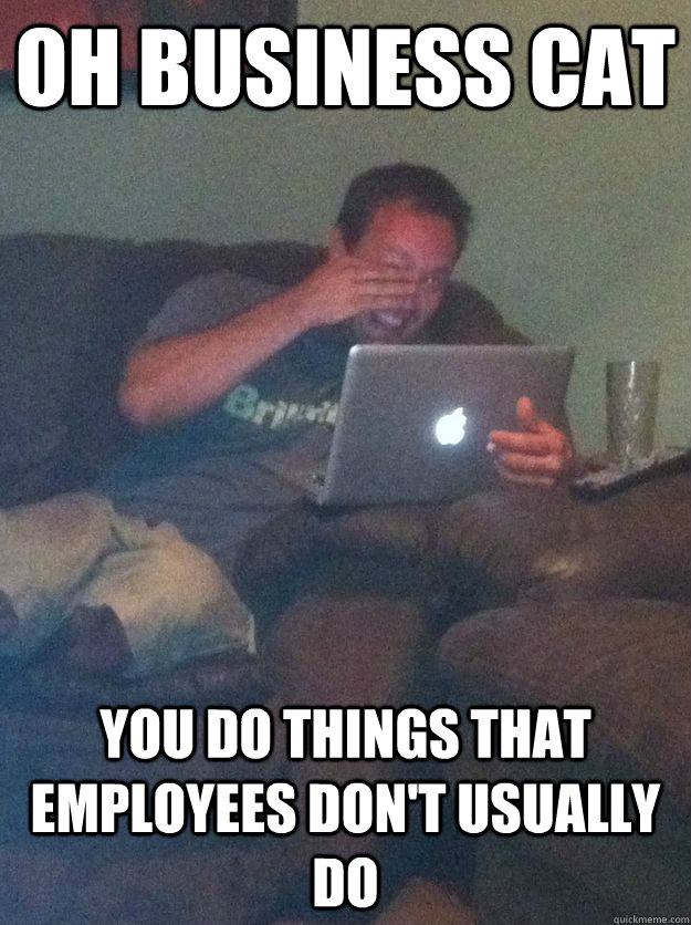 Oh Business cat you do things that employees don't usually do  Reddit Meme Dad