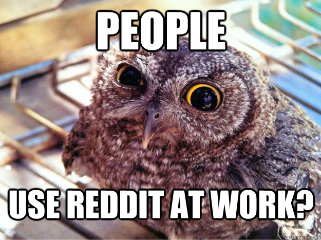 people Use reddit at work? - people Use reddit at work?  Skeptical Owl