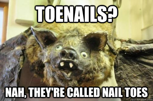 toenails? nah, they're called nail toes - toenails? nah, they're called nail toes  Bad Logic Rodent