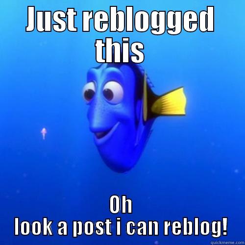 JUST REBLOGGED THIS OH LOOK A POST I CAN REBLOG! dory