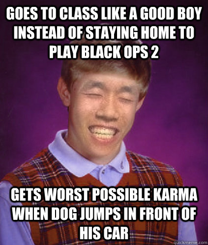 Goes to class like a good boy instead of staying home to play black ops 2 gets worst possible karma when dog jumps in front of his car - Goes to class like a good boy instead of staying home to play black ops 2 gets worst possible karma when dog jumps in front of his car  Bad Luck Thawmus