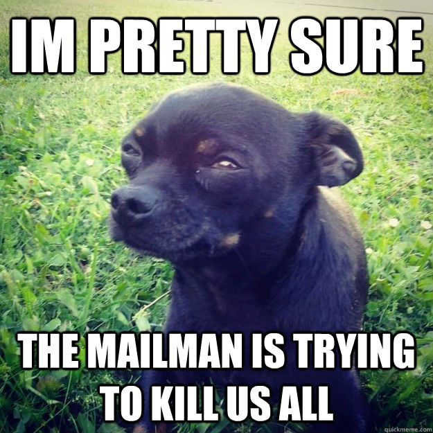 Im pretty sure The mailman is trying to kill us all - Im pretty sure The mailman is trying to kill us all  Skeptical Dog