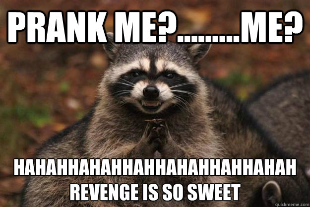 Prank Me?.........Me? hahahhahahhahhahahhahhahah
revenge is so sweet  Evil Plotting Raccoon