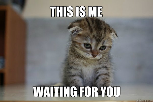 This is me waiting for you - This is me waiting for you  Sad Kitten