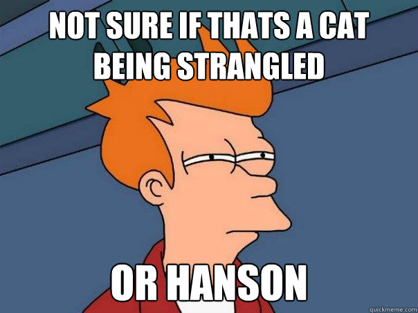 Not sure if thats a cat being strangled or Hanson  Futurama Fry