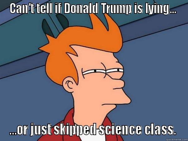 Frying the planet - CAN'T TELL IF DONALD TRUMP IS LYING... ...OR JUST SKIPPED SCIENCE CLASS. Futurama Fry