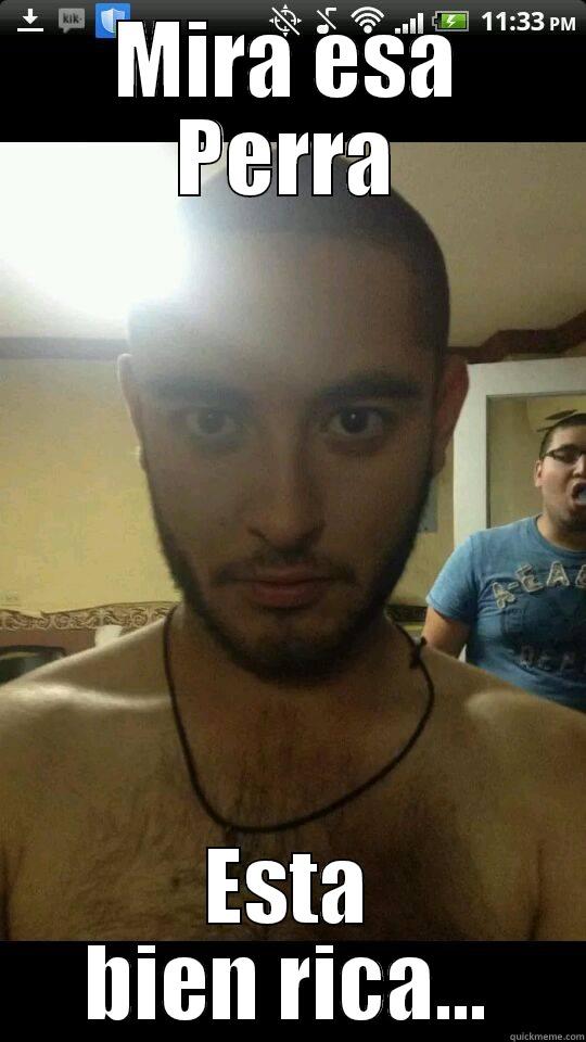MIRA ESA PERRA ESTA BIEN RICA... Misc