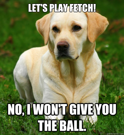 Let's play fetch! No, I won't give you the ball. - Let's play fetch! No, I won't give you the ball.  Dog Logic