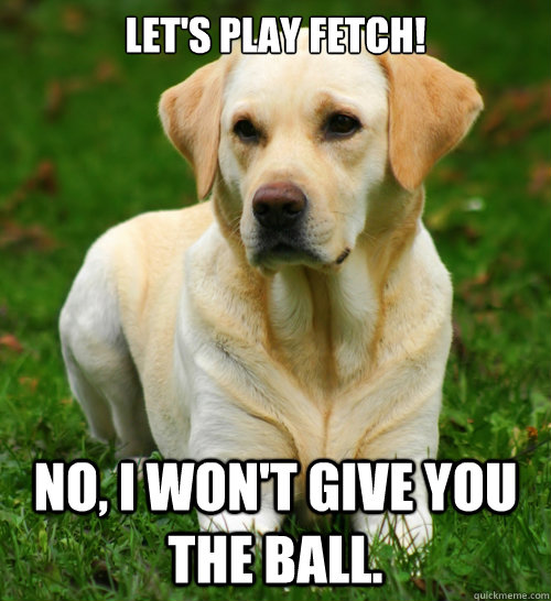 Let's play fetch! No, I won't give you the ball.  Dog Logic