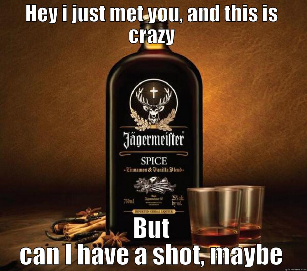 HEY I JUST MET YOU, AND THIS IS CRAZY BUT CAN I HAVE A SHOT, MAYBE Misc
