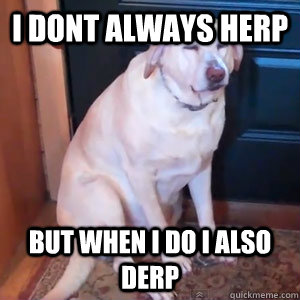 I dont always herp  but when i do i also derp  