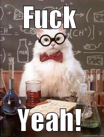 FUCK YEAH! Chemistry Cat
