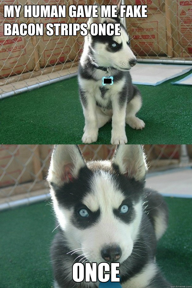 My human gave me fake bacon strips once once  Insanity puppy