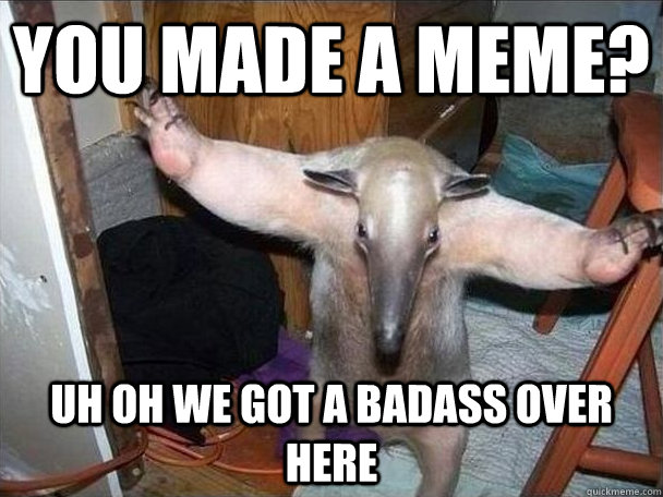 you made a meme? uh oh we got a badass over here  I got this