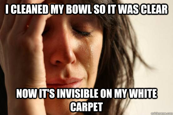 I cleaned my bowl so it was clear now It's invisible on my white carpet   First World Problems