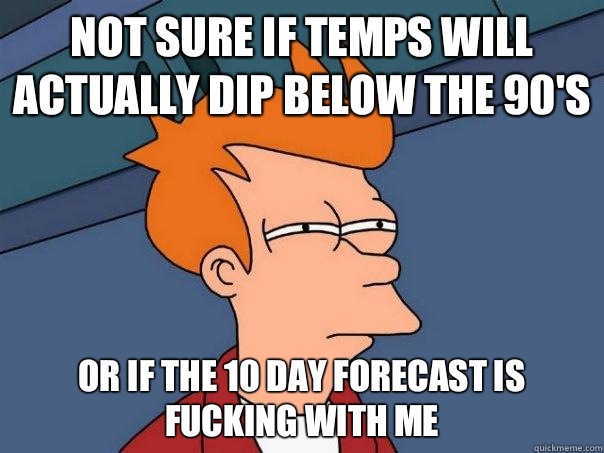 not sure if temps will actually dip below the 90's or if the 10 day forecast is fucking with me  Futurama Fry