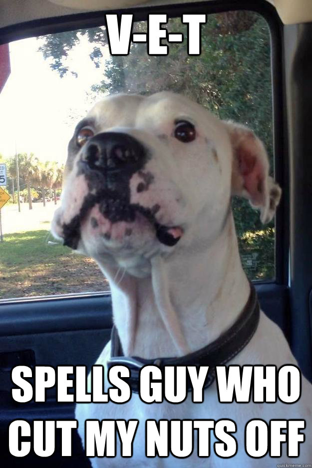 V-E-T SPELLS GUY WHO CUT MY NUTS OFF - V-E-T SPELLS GUY WHO CUT MY NUTS OFF  Misc