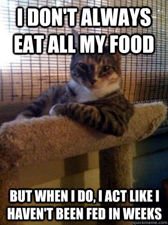 I don't always eat all my food but when I do, I act like I haven't been fed in weeks - I don't always eat all my food but when I do, I act like I haven't been fed in weeks  The Most Interesting Cat in the World