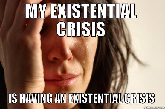MY EXISTENTIAL CRISIS IS HAVING AN EXISTENTIAL CRISIS First World Problems
