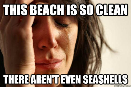 This beach is so clean there aren't even seashells  First World Problems