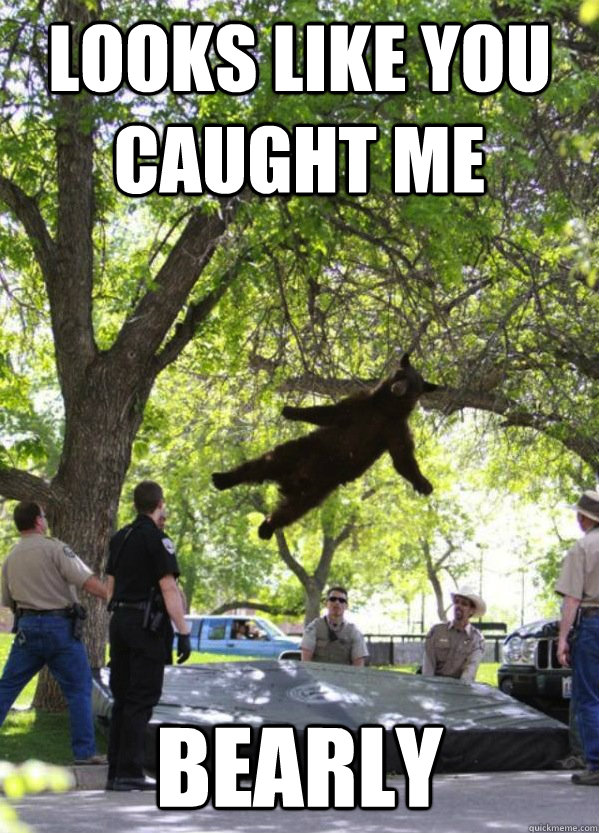 Looks like you caught me bearly  