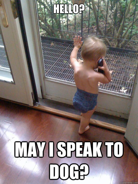 Hello? May I speak to dog?  