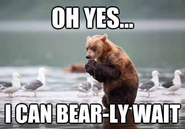 Oh yes... I can bear-ly wait  