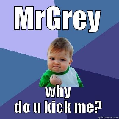 MRGREY WHY DO U KICK ME? Success Kid