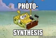 PHOTO- Synthesis  Photosynthesis