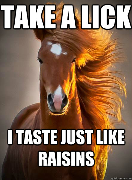 Take a lick i taste just like raisins - Take a lick i taste just like raisins  Ridiculously Photogenic Horse