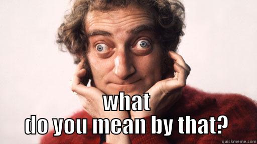  WHAT DO YOU MEAN BY THAT? Misc