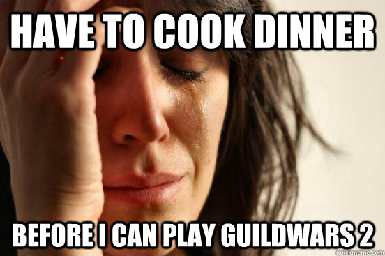 Have to cook dinner before i can play guildwars 2  First World Problems