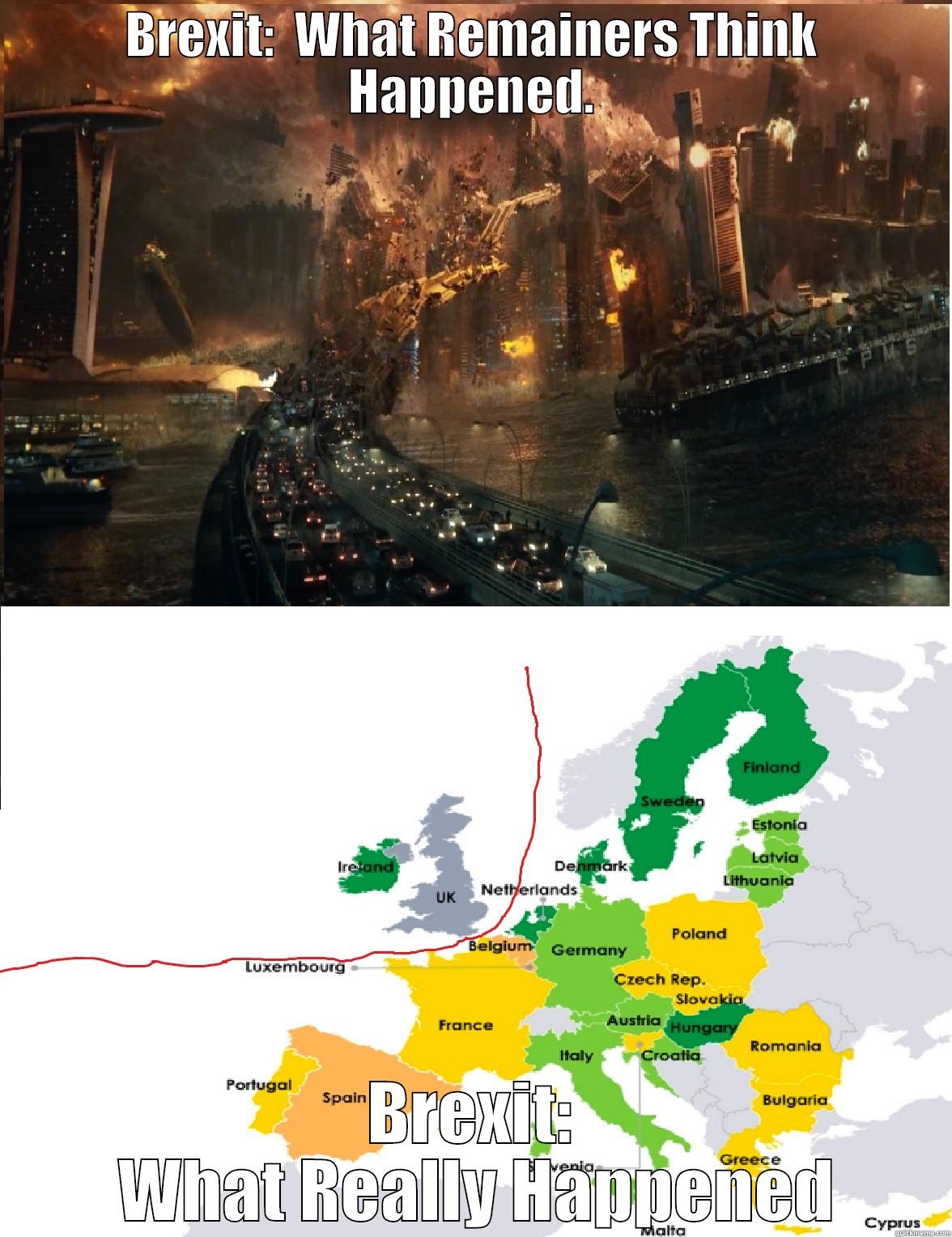 BREXIT:  WHAT REMAINERS THINK HAPPENED. BREXIT:  WHAT REALLY HAPPENED Misc