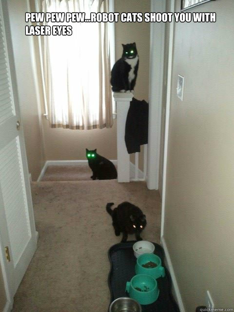 pew pew pew...robot cats shoot you with laser eyes - pew pew pew...robot cats shoot you with laser eyes  robot cats