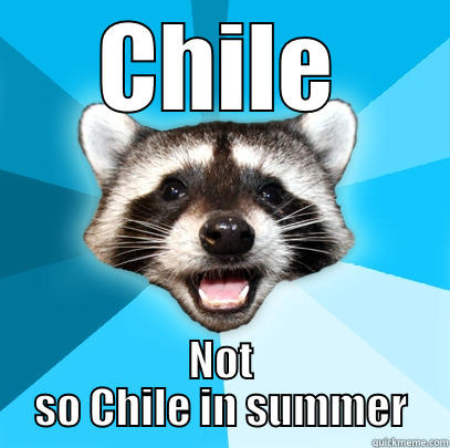 CHILE NOT SO CHILE IN SUMMER Lame Pun Coon
