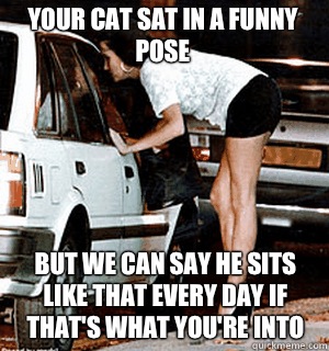 Your cat sat in a funny pose  But we can say he sits like that every day if that's what you're into   Karma Whore