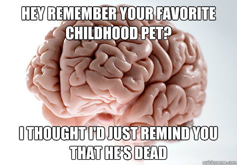 hey remember your favorite childhood pet? i thought i'd just remind you that he's dead  Scumbag Brain