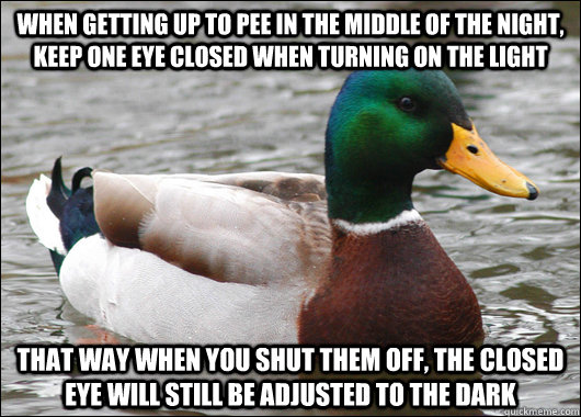 When getting up to pee in the middle of the night, keep one eye closed when turning on the light that way when you shut them off, the closed eye will still be adjusted to the dark  Actual Advice Mallard