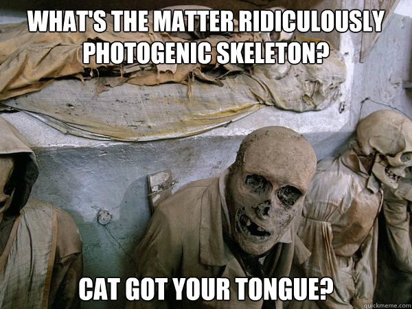 What's the matter Ridiculously Photogenic Skeleton? Cat got your tongue?  Ridiculously Photogenic Skeleton